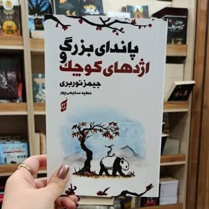 جلد کتاب پاندای بزرگ و اژدهای کوچک